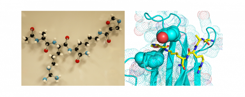 受到YEATS結構域識別組蛋白乙酰化標記的晶體結構所啟發，李博士的研究團隊針對在此識別位點所特有的相互作用模式設計了一系列的化學分子。